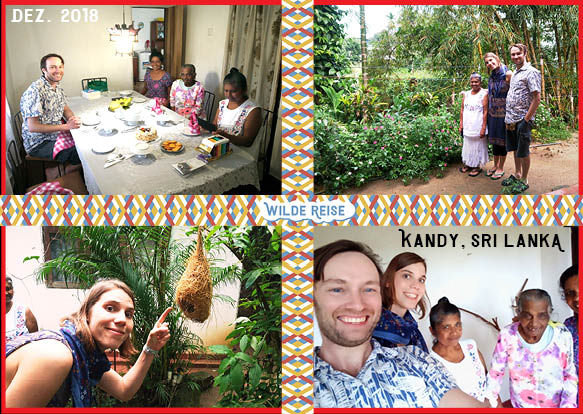 Wilde Reise 1 - Kandy_klein